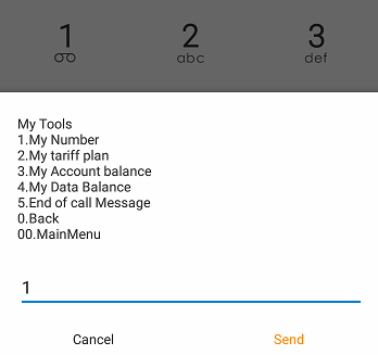 how to check my mtn number